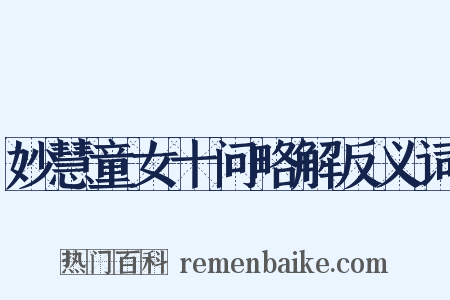 妙慧童女十问略解反义词是什么意思的图片